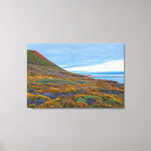 Coastal Hillside with Summer Wildflowers Canvas Print