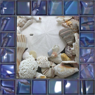 Coastal Home Sand Dollar Seashells Ceramic Tile