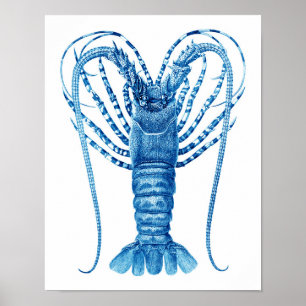 Coastal Kitchen Art Decor Blue Lobster Print no.8