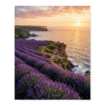 Coastal Lavender Fields at Sunset Landscape Art