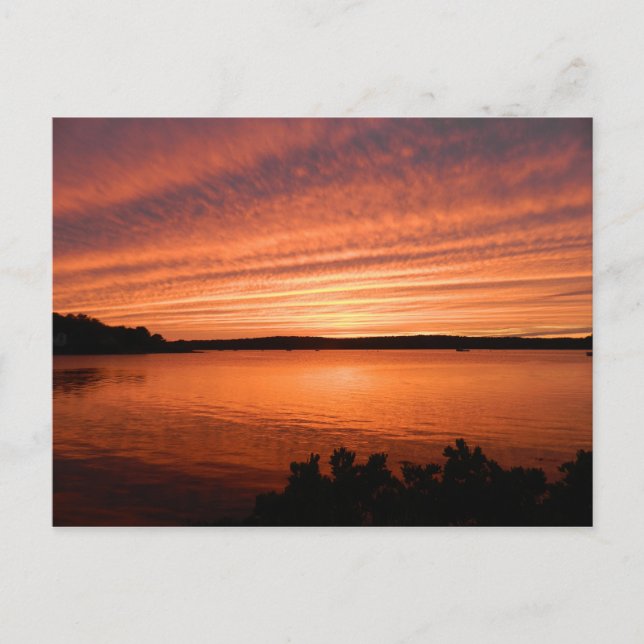 Coastal Maine Sunset Postcard Sailor's Delight (Front)