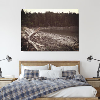 Coastal Maine Wilderness Canvas Print