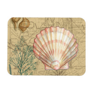 Coastal Map Collage Magnet