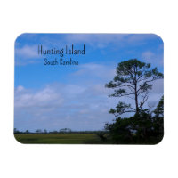 Coastal Marsh