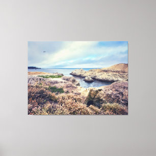 Coastal Morning Canvas Print
