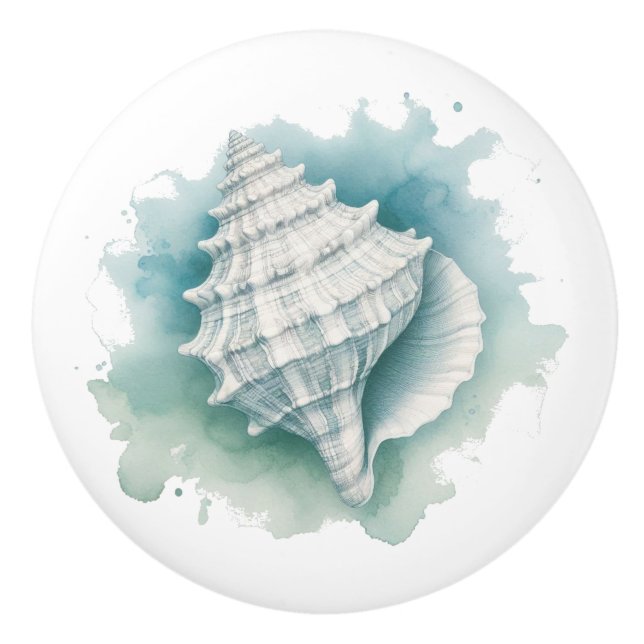 Coastal/Nautical seashell  Ceramic Knob (Front)