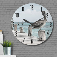 Coastal Ocean Pelican