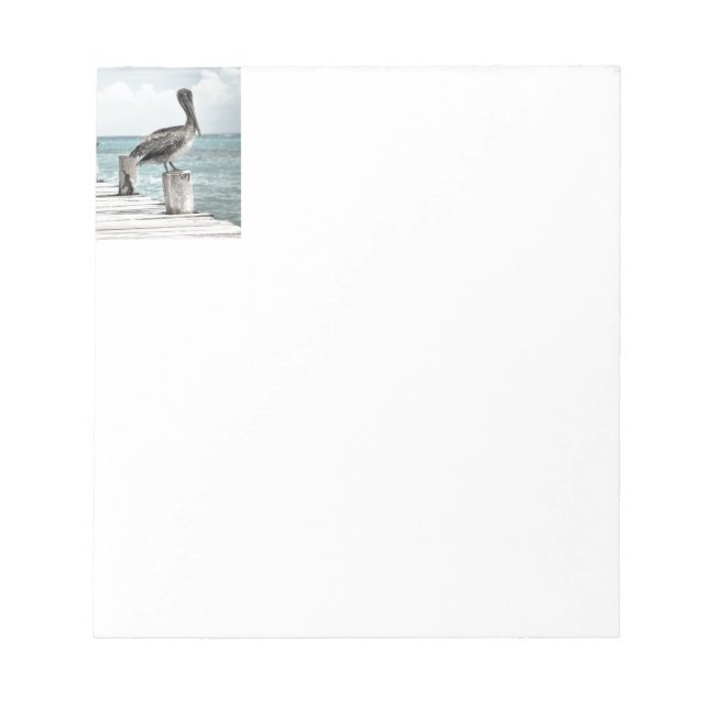 Coastal Ocean Pelican Notepad (Front)