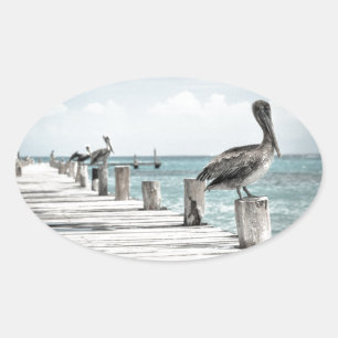 Coastal Ocean Pelican Oval Sticker
