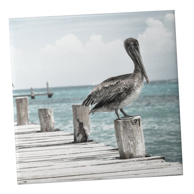 Coastal Ocean Pelican Tile (Pelican Aqua Blue Ocean Nautical Coastal ceramic tile)