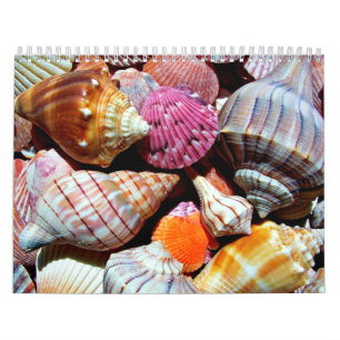 Coastal Ocean Sea Shell Pattern Calendar