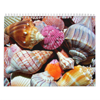 Coastal Ocean Sea Shell Pattern Calendar