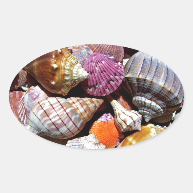 Coastal Ocean Sea Shell Pattern Oval Sticker (Front)