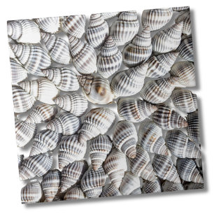 Coastal Ocean Sea Shell Pattern Tile