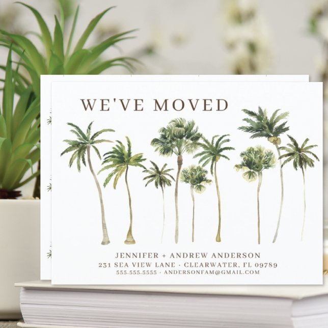 Coastal Palm Tree Moving Announcement (Creator Uploaded)