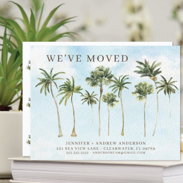 Coastal Palm Tree Moving Announcement (Creator Uploaded)