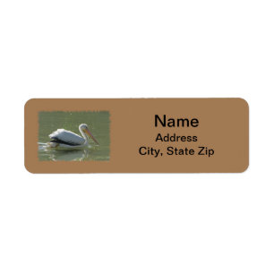 Coastal Pelican Photo West Coast Bird Lover