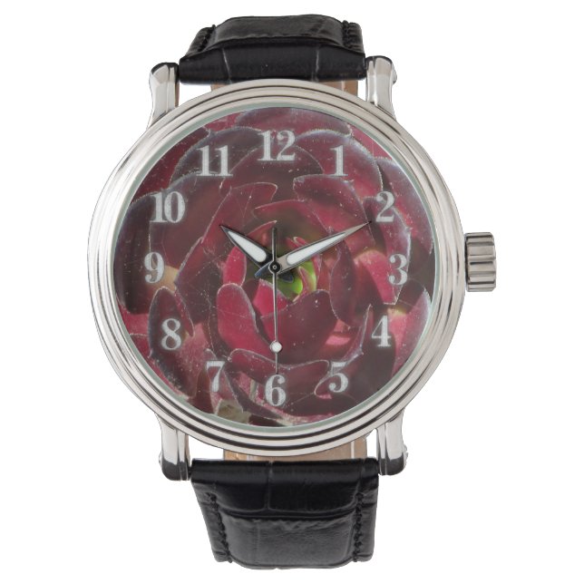 Coastal Plant Photo Red Burgundy Succulent  Watch (Front)