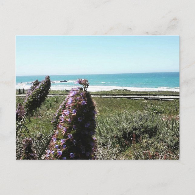 Coastal Postcard (Front)
