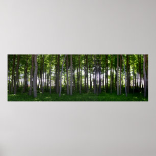 coastal protection forest poster