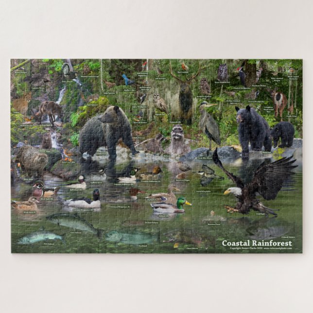 Coastal Rainforest Jigsaw Puzzle (Horizontal)