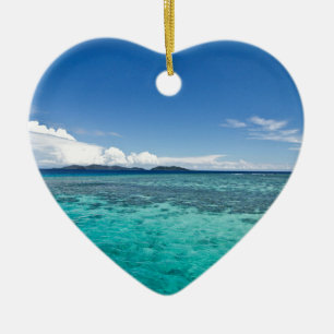 Coastal Reef, Fiji Ceramic Ornament