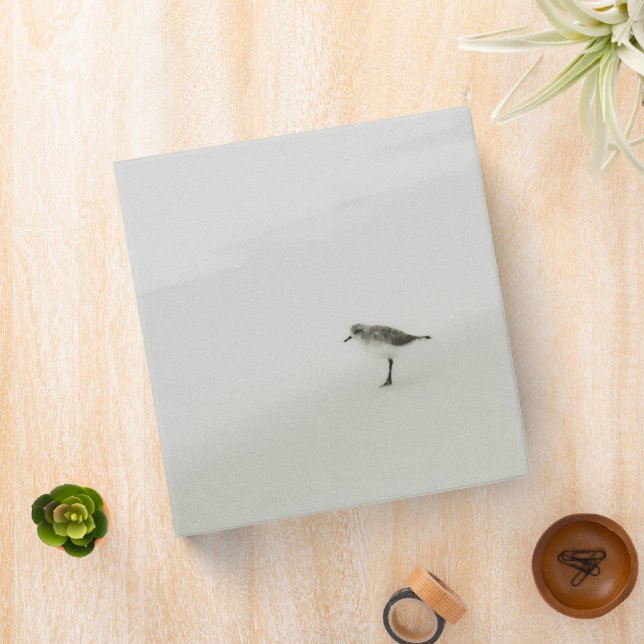 Coastal Sandpiper on the Beach Binder (In Situ)