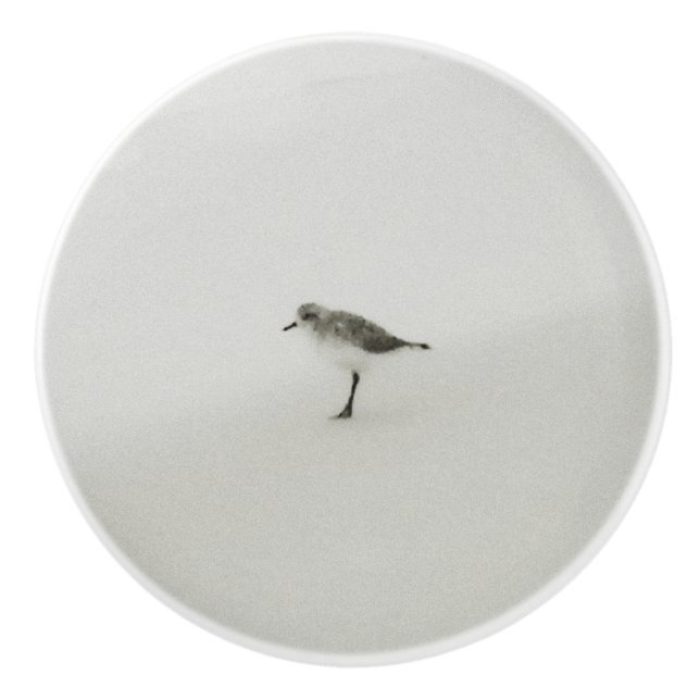 Coastal Sandpiper on the Beach Ceramic Knob (Front)