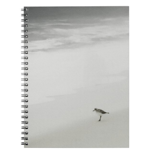 Coastal Sandpiper on the Beach Notebook (Front)