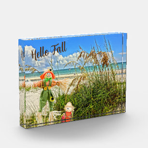 Coastal Sanibel Island Florida Beach & Scarecrow  Photo Block
