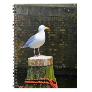 Coastal Seagull Bird and Ocean Wildlife Photo Notebook