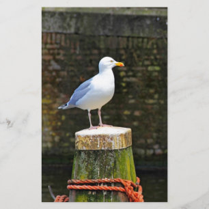 Coastal Seagull Photography Stationery