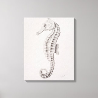 Coastal Seahorse Drawing Canvas Print