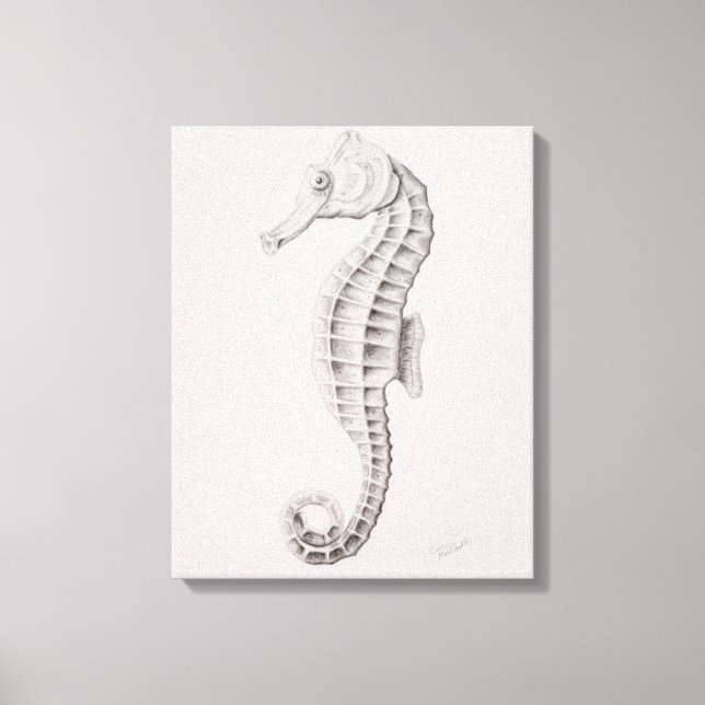 Coastal Seahorse Drawing Canvas Print (Front)