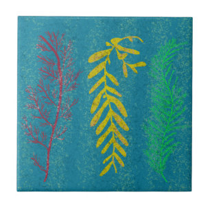 Coastal Seaweed Tile