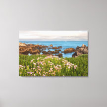 Coastal Spring