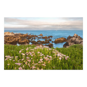 Coastal Spring Photo Print