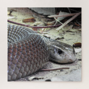 Coastal Taipan Jigsaw Puzzle
