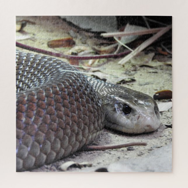 Coastal Taipan Jigsaw Puzzle (Vertical)