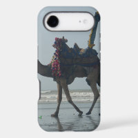 Coastal tribal Camel.JPG