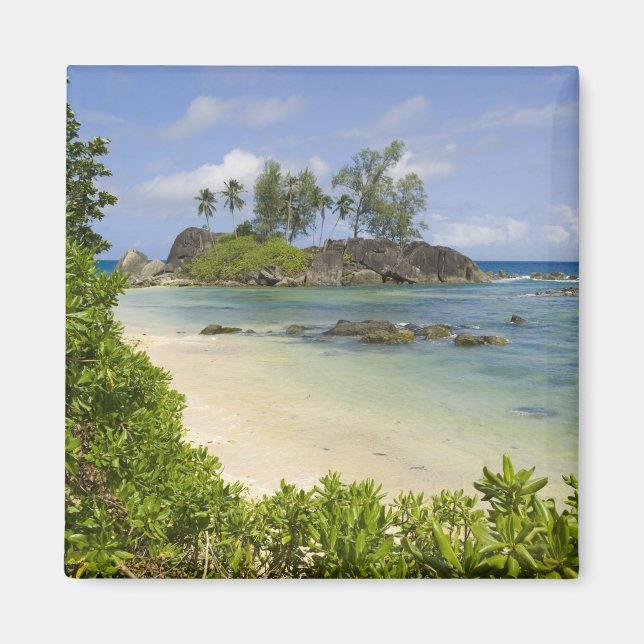 Coastal view on Mahe Island Magnet (Front)