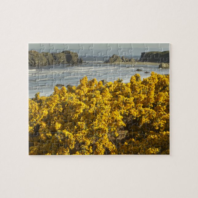 Coastal views, Bandon, Oregon Jigsaw Puzzle (Horizontal)
