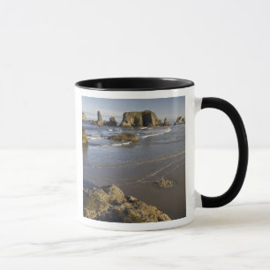 Coastal views, Bandon, Oregon Mug
