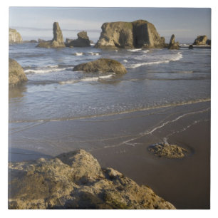 Coastal views, Bandon, Oregon Tile
