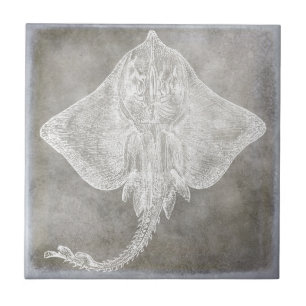 Coastal Watercolor Sting Ray Skate Pewter Neutral Tile