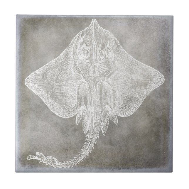 Coastal Watercolor Sting Ray Skate Pewter Neutral Tile (Front)