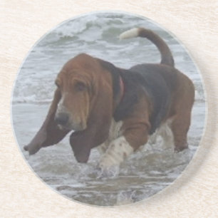 Coaster Basset Hound By The Sea