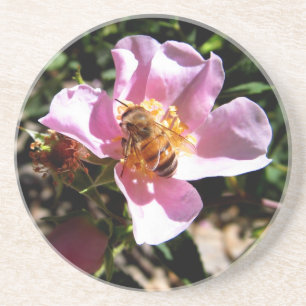 Coaster - Bee on a wild rose