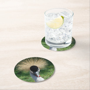coaster _ crowned crane _ front&back