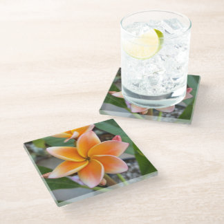 Coaster, Glass - Plumeria Coaster
